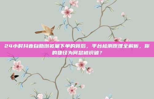 24小时抖音自助浏览量下单的背后,平台检测原理全解析,你的捷径为何总被识破?