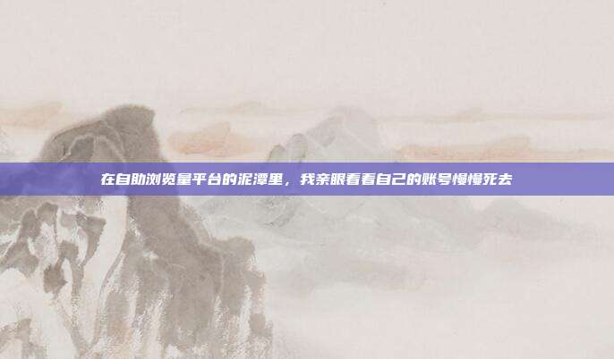 在自助浏览量平台的泥潭里,我亲眼看着自己的账号慢慢死去