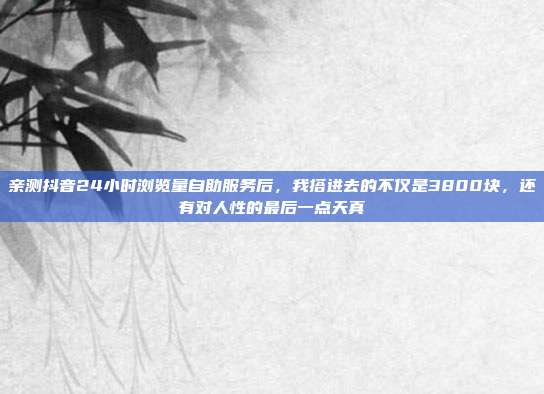 亲测抖音24小时浏览量自助服务后,我搭进去的不仅是3800块,还有对人性的最后一点天真