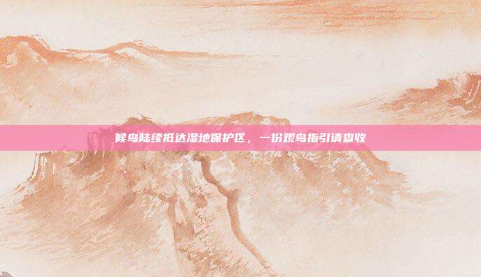 候鸟陆续抵达湿地保护区,一份观鸟指引请查收