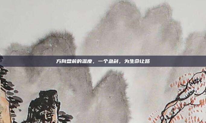 方向盘前的温度，一个急刹，为生命让路