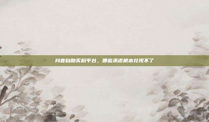抖音自助买粉平台,哪些承诺根本兑现不了