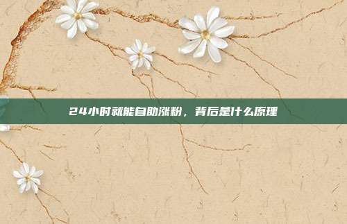 24小时就能自助涨粉,背后是什么原理