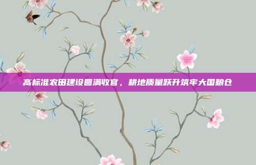 高标准农田建设圆满收官,耕地质量跃升筑牢大国粮仓