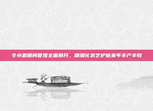 冬小麦田间管理全面展开,精细化农艺护航来年丰产丰收