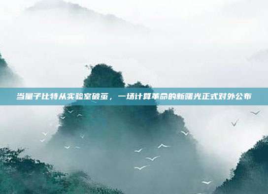 当量子比特从实验室破茧，一场计算革命的新曙光正式对外公布