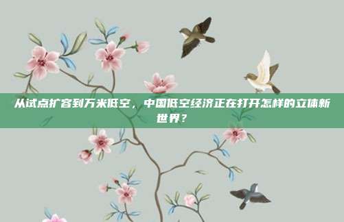 从试点扩容到万米低空,中国低空经济正在打开怎样的立体新世界?