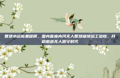 智慧水运新里程碑,国内首座内河无人智慧锚地竣工验收,开启航道无人值守时代