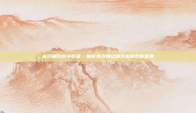 从沉睡白到丰收金,盐碱地改良绘就大国粮仓新图景