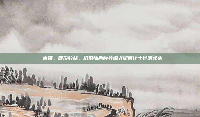 一亩田,两份收益,稻田综合种养模式如何让土地活起来