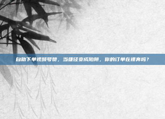 自助下单视频号赞,当捷径变成陷阱,你的订单在裸奔吗?