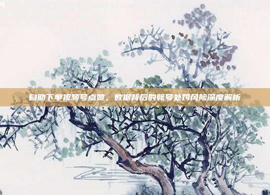 自助下单视频号点赞,数据背后的账号处罚风险深度解析