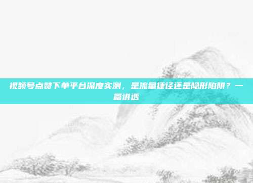 视频号点赞下单平台深度实测,是流量捷径还是隐形陷阱?一篇讲透