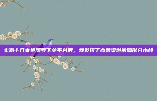 实测十几家视频号下单平台后,我发现了点赞渠道的隐形分水岭
