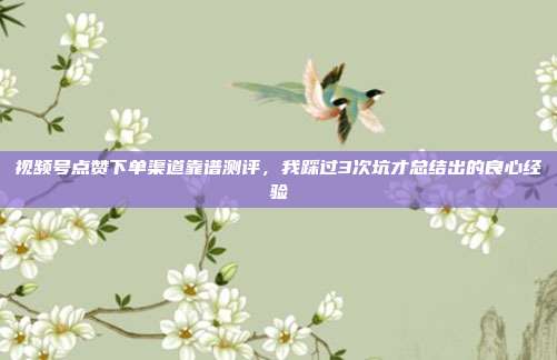 视频号点赞下单渠道靠谱测评，我踩过3次坑才总结出的良心经验