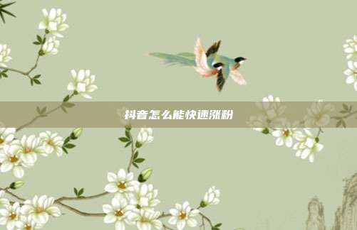 抖音怎么能快速涨粉